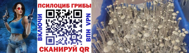 ОМГ ОМГ сайт  Куровское  Галлюциногенные грибы мухоморы 